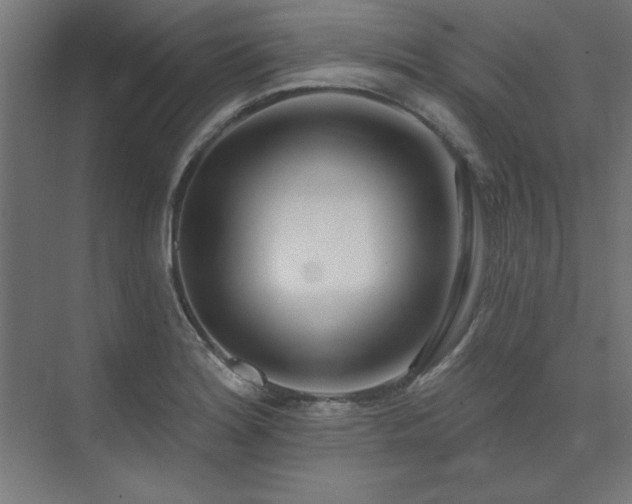 X0000074261180200608251218