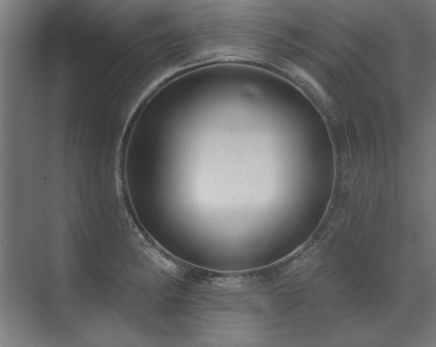 X0000074261182200608251218