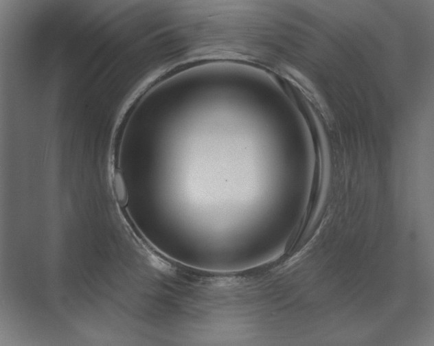 X0000074261188200608251218