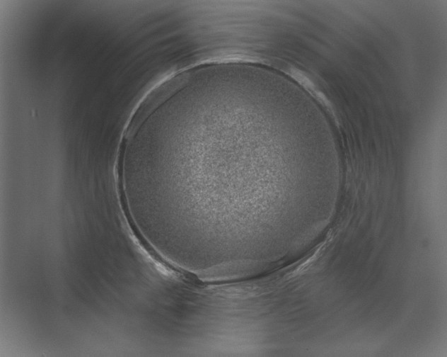 X0000074261189200608251218