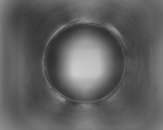 X0000074261190200608251218