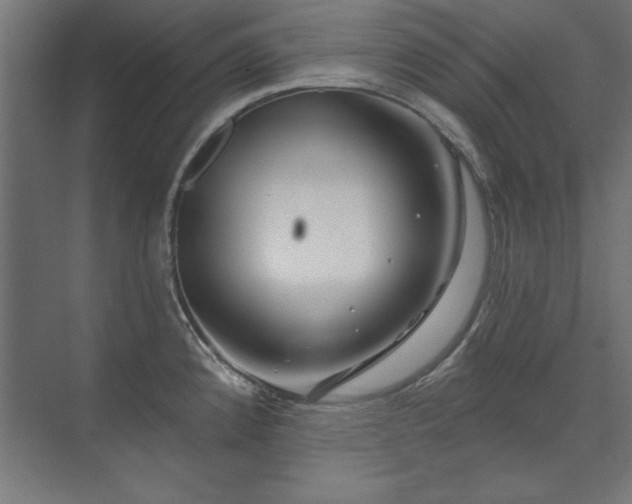 X0000074261192200608251218