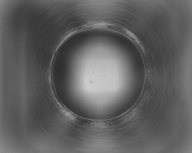 X0000074261194200608251218