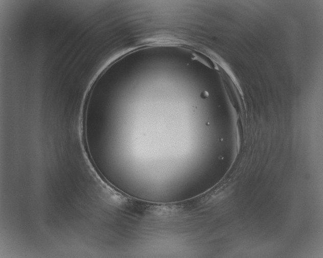 X0000074261195200608251218