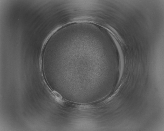 X0000074261196200608251218