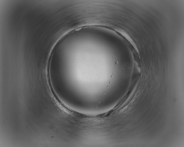 X0000074261197200608251218