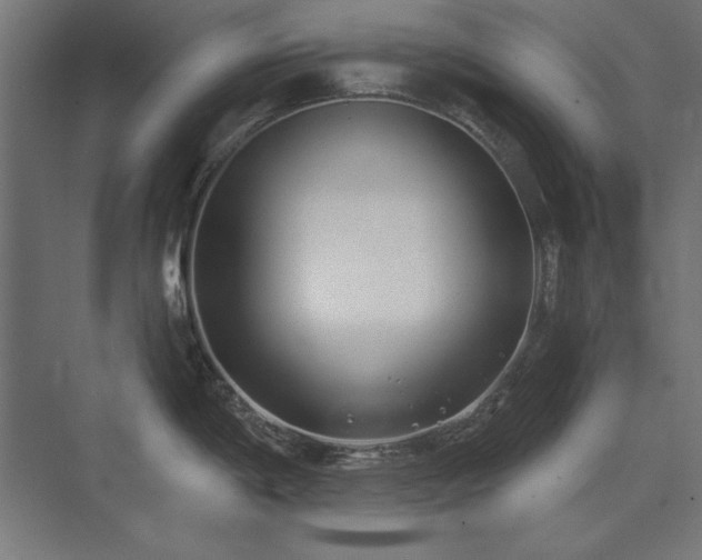 X0000074261198200608251218