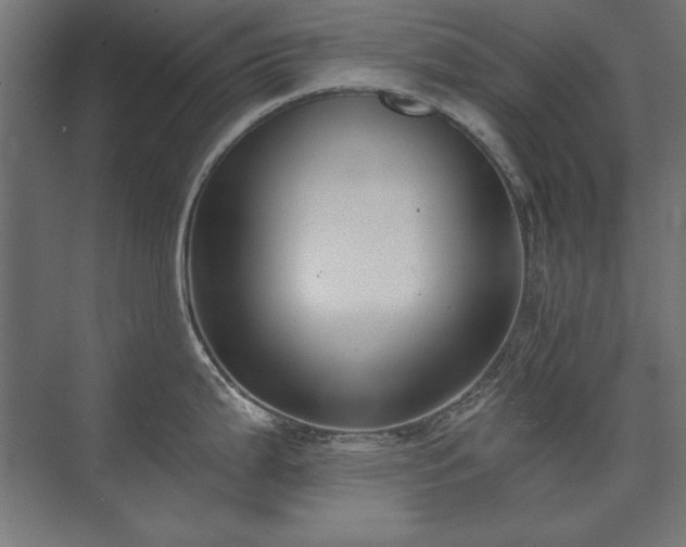 X0000074261199200608251218