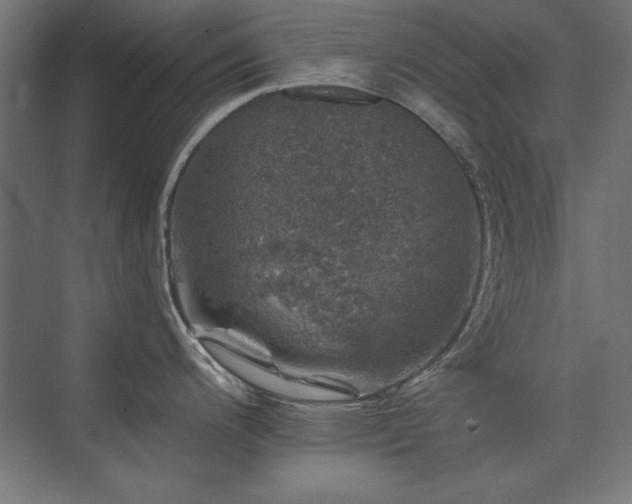 X0000074261200200608251218