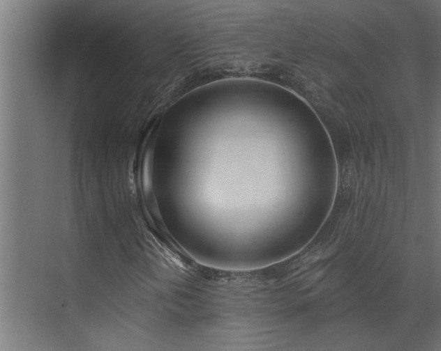 X0000074261202200608251217