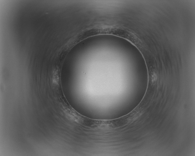 X0000074261204200608251217