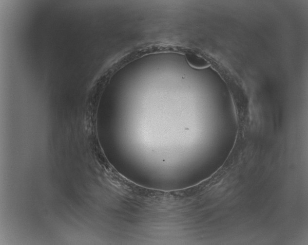 X0000074261207200608251217