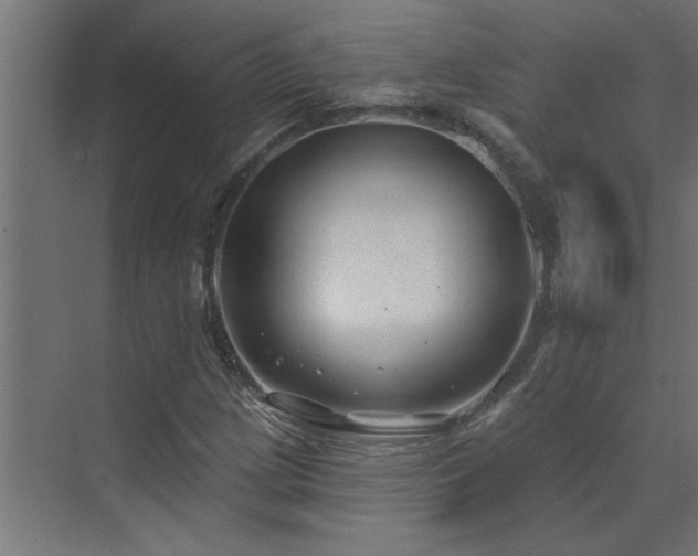 X0000074261209200608251217