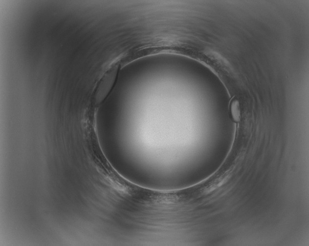 X0000074261210200608251217