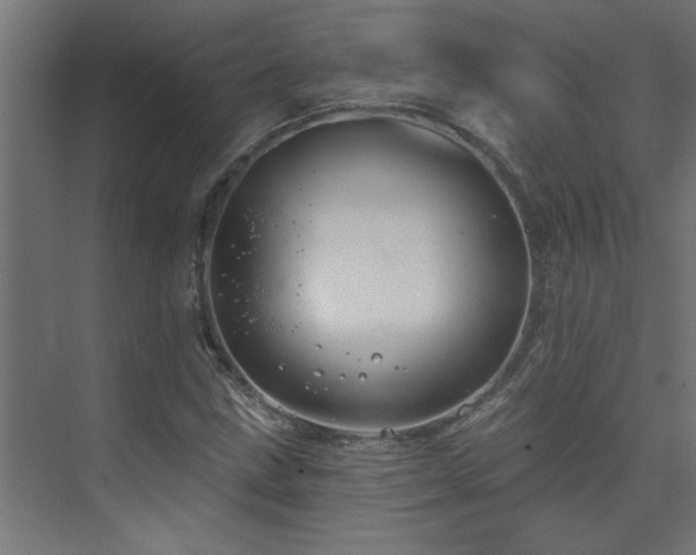 X0000074261211200608251217