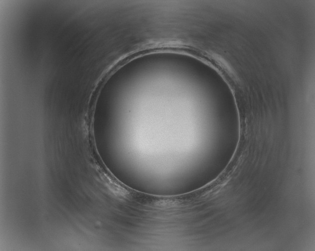 X0000074261212200608251217