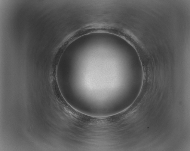 X0000074261213200608251217