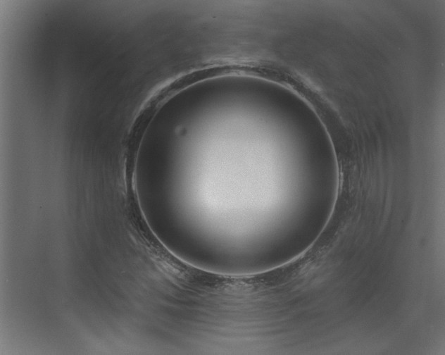 X0000074261214200608251217