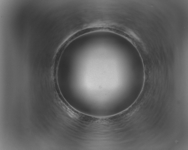 X0000074261216200608251217