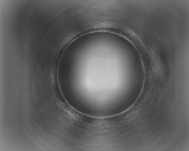 X0000074261217200608251217