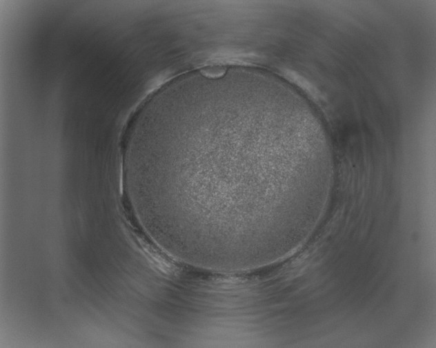 X0000074261219200608251217