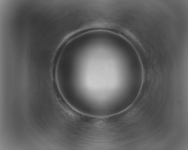 X0000074261222200608251217