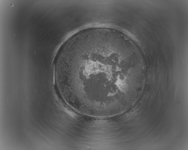 X0000074261223200608251217