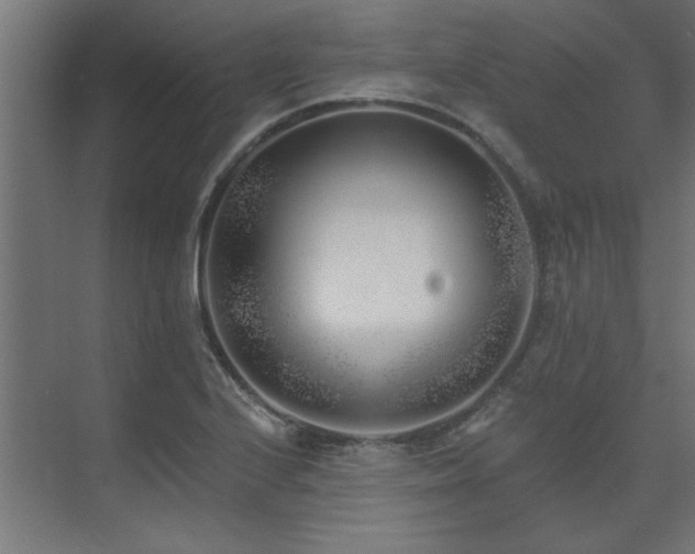 X0000074261224200608251217