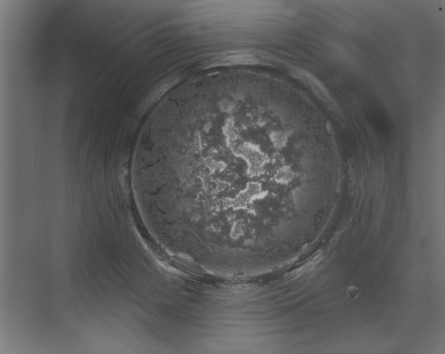 X0000074261225200608251217