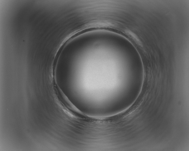 X0000074261226200608251217