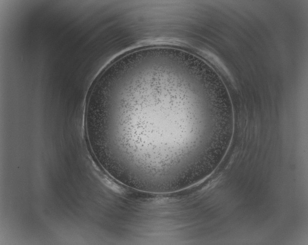 X0000074261228200608251217