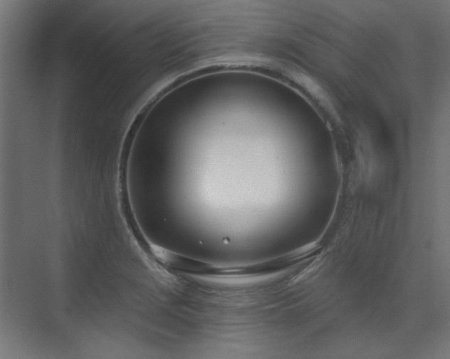 X0000074261229200608251217