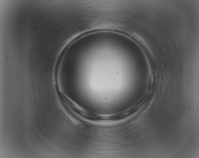 X0000074261230200608251217