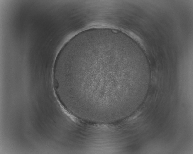 X0000074261231200608251217