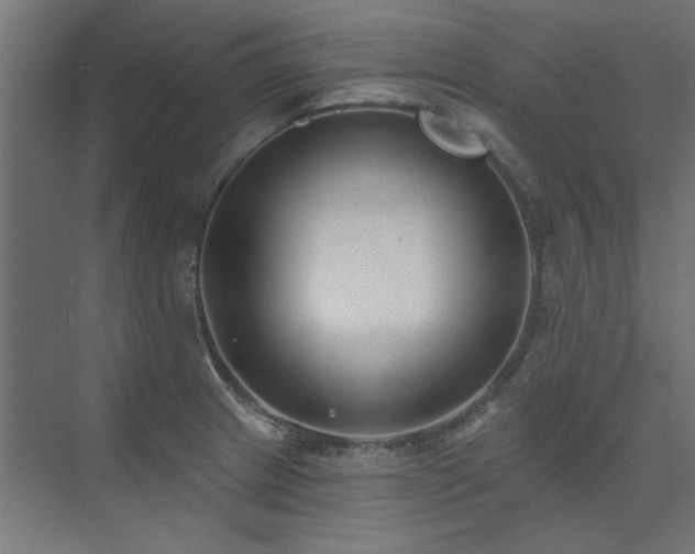 X0000074261233200608251217