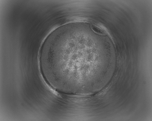 X0000074261235200608251218