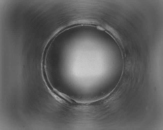 X0000074261237200608251218