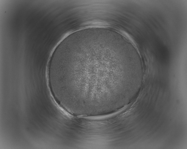 X0000074261243200608251218