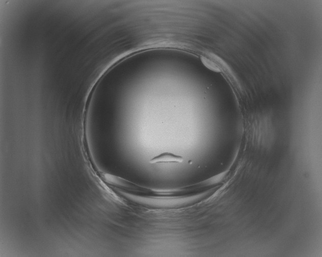 X0000074261244200608251218