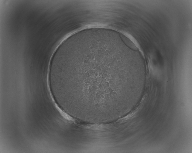 X0000074261245200608251218