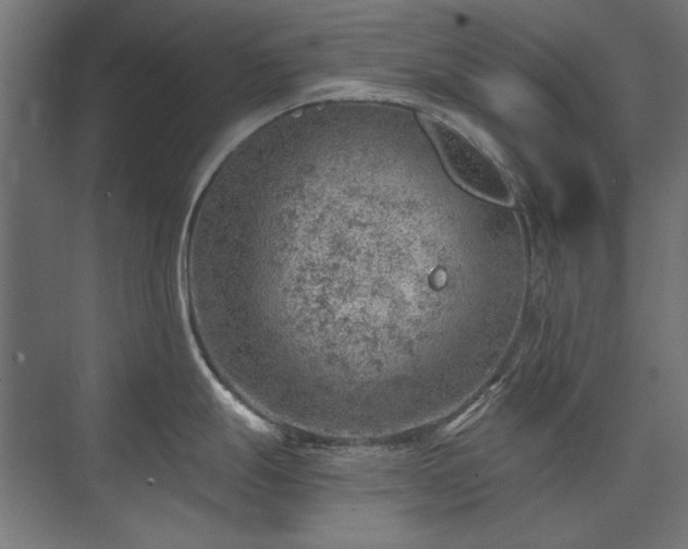 X0000074261247200608251218