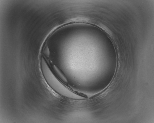 X0000074261248200608251218