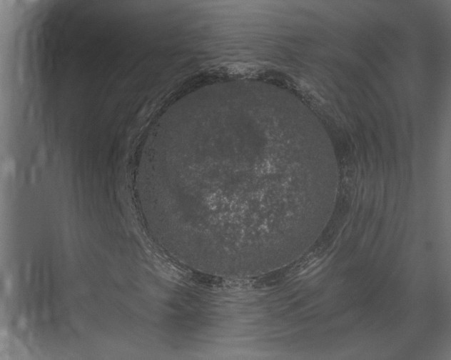 X0000074261249200608251217