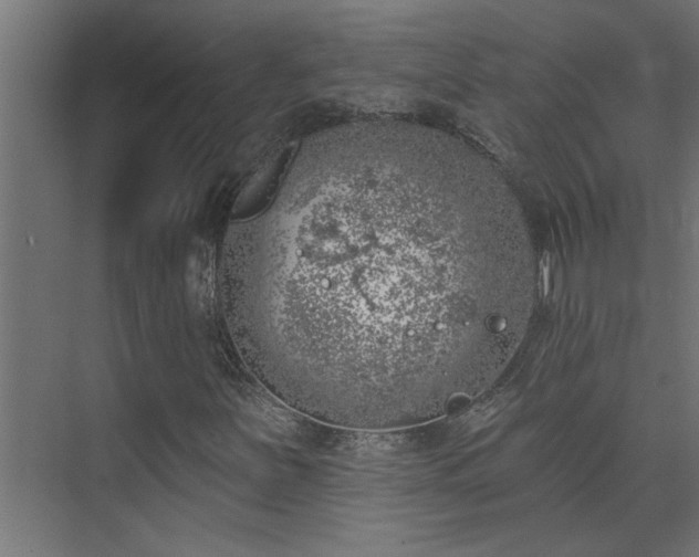 X0000074261251200608251217