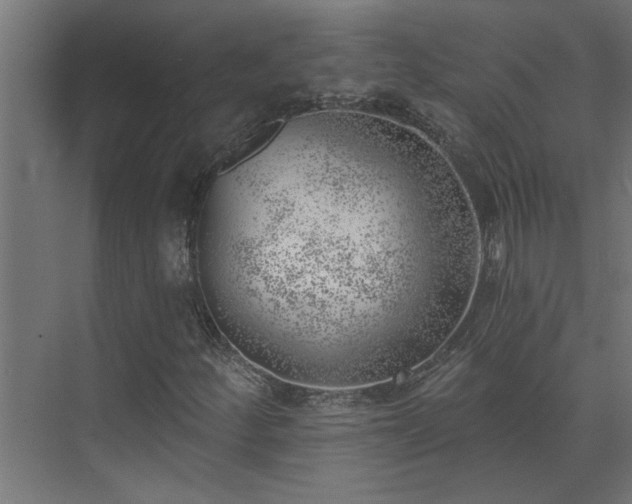 X0000074261252200608251217