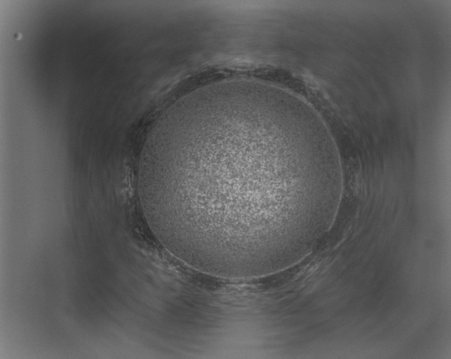 X0000074261253200608251217