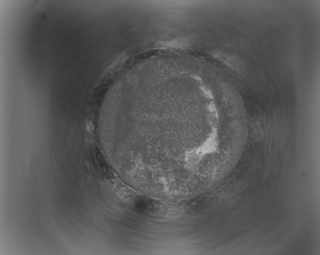 X0000074261254200608251217