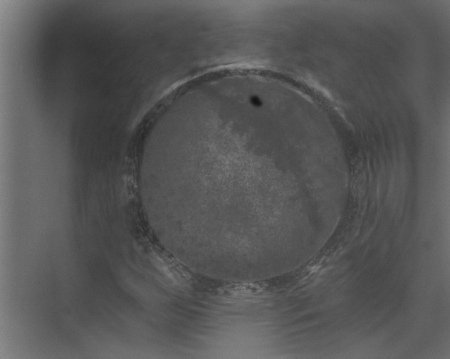 X0000074261255200608251217