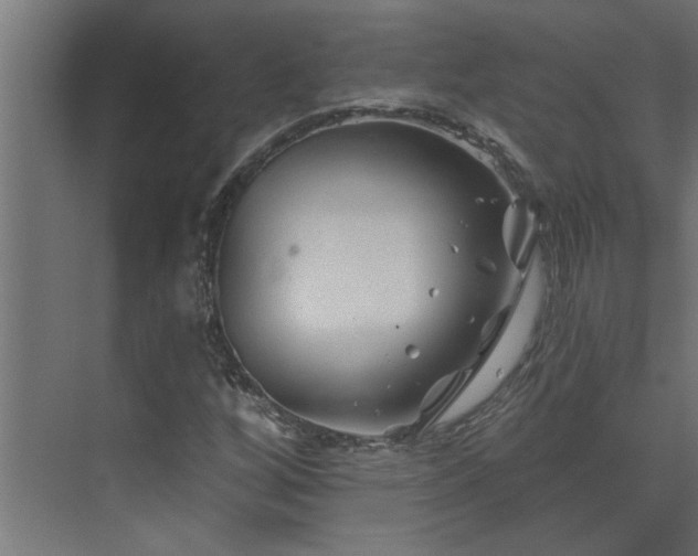 X0000074261256200608251217