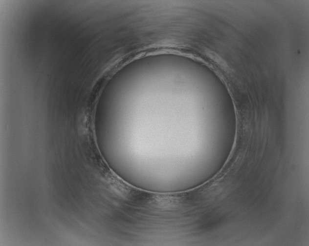 X0000074261258200608251217